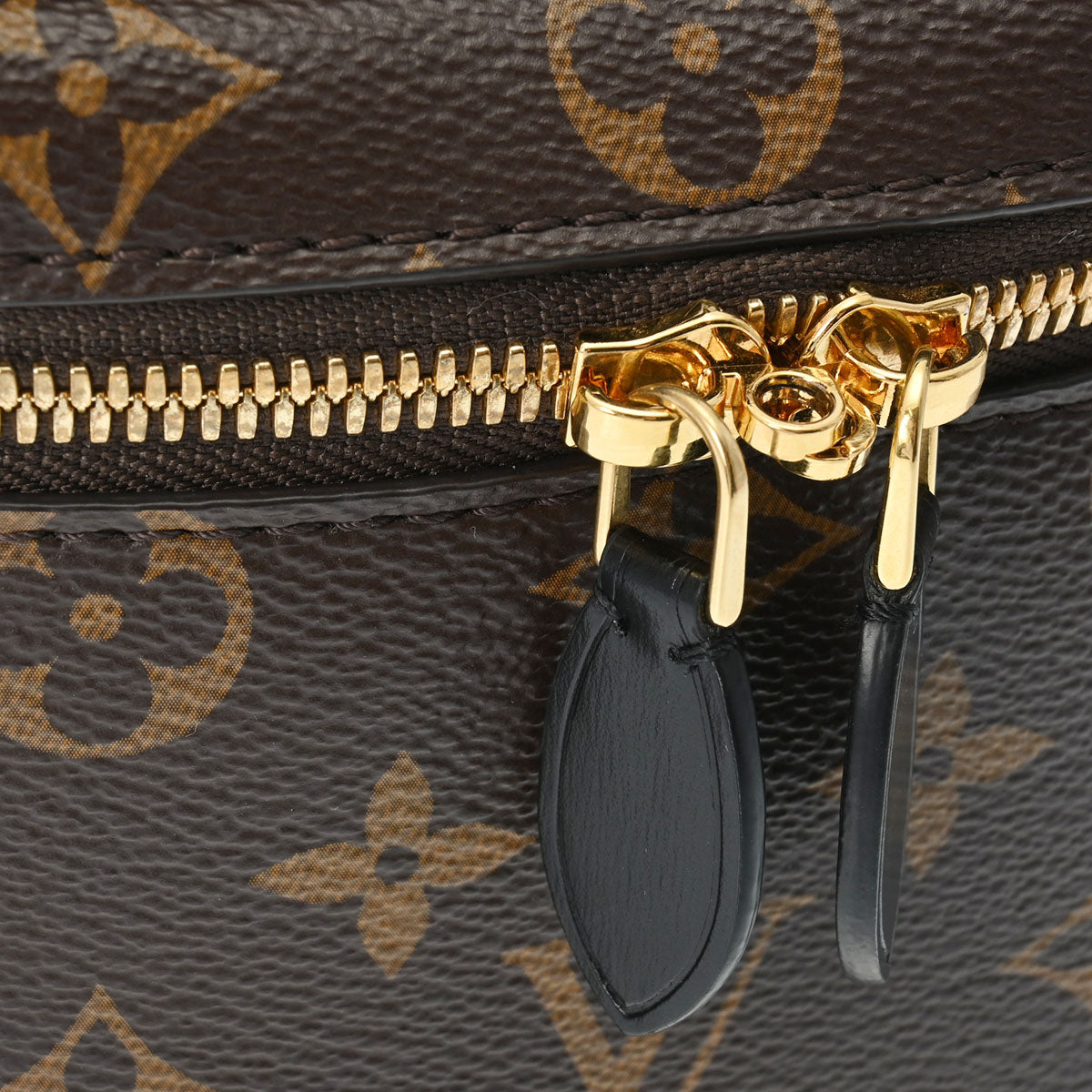 Louis Vuitton Monogram Reverse Vanity PM