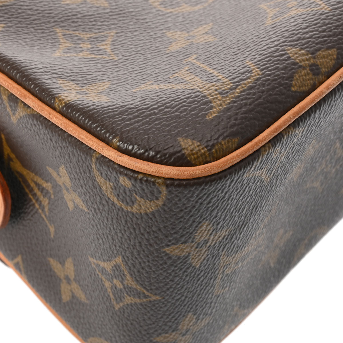 Louis Vuitton Monogram Viva-Cite MM