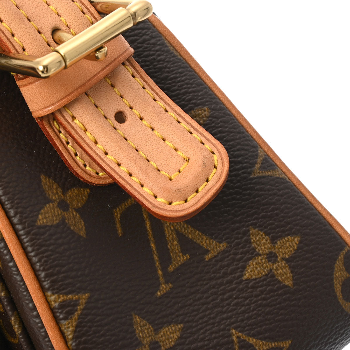 Louis Vuitton Monogram Viva-Cite MM